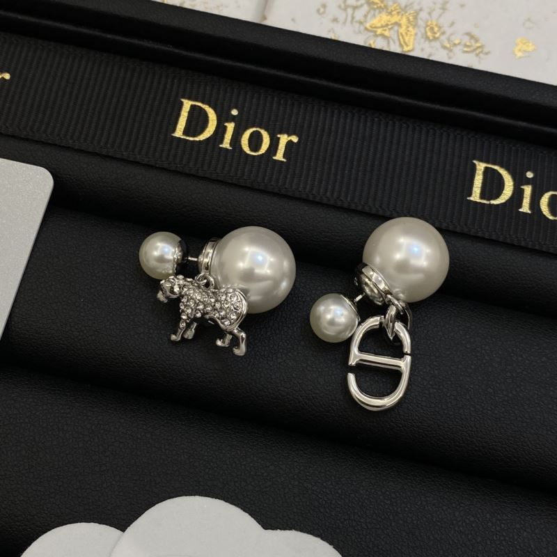 Christian Dior Earrings